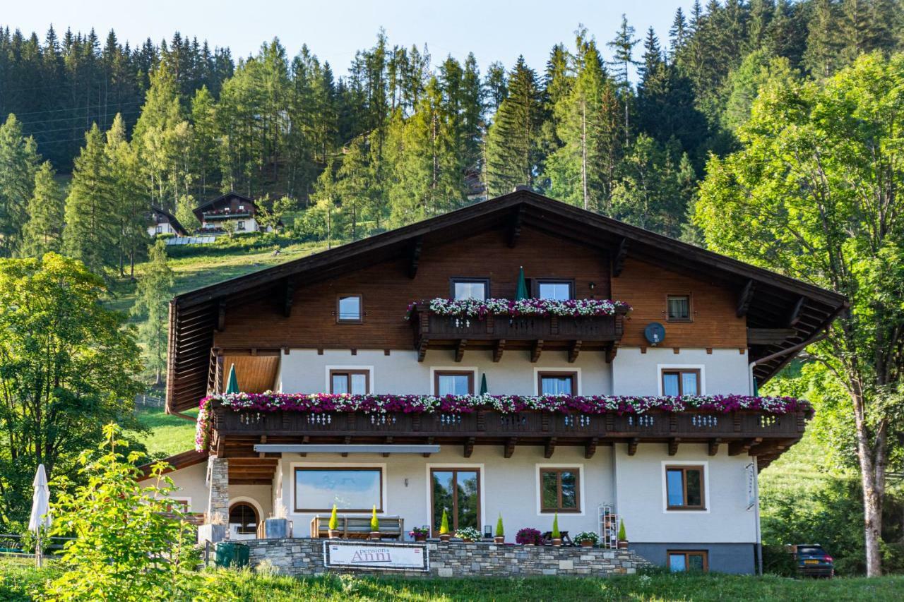 Pension Anni Ваграйн Екстер'єр фото